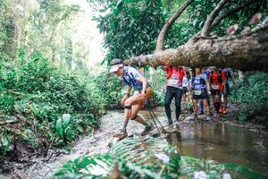 BIB: 
                            <button type="button" onclick="openModal(25474800)" class="btn btn-primary btn-sm float-right btn-popup" data-toggle="modal" data-target=".modal-high-quality">
                        <i class="fas fa-shopping-cart"></i> Add to Cart
                    </button>
                                            <button type="button" onclick="isThisMe(25474800, true)" class="btn btn-success btn-sm float-right btn-popup btn-isme hidden" data-toggle="tooltip" data-placement="bottom" title="นี่คือรูปของคุณใช่ไหม คลิกที่นี่เพื่อเอาเข้าอัลบั้ม">
                        <i class="fas fa-plus"></i> Add to album
                    </button>
                    <button type="button" onclick="isThisMe(25474800, false)" class="btn btn-warning btn-sm float-right btn-popup btn-isnotme hidden">
                        <i class="fas fa-ban"></i> Remove from album
                    </button>